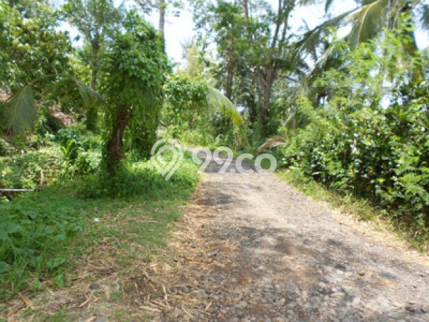 Tanah Lokasi Strategis Kawasan Soka, Luas 5500m², Akses ke Fasilitas Umum, Dekat Soka, Tabanan, Tabanan Tanah Lokasi Strategis Kawasan Soka, Luas 5500m², Akses ke Fasilitas Umum, Dekat Soka, Tabanan, Tabanan