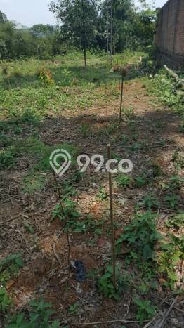 Lahan Dijual Lokasi Tenjo, Bogor dengan Luas Tanah 12050m2 dan Status Lain-lain Lahan Dijual Lokasi Tenjo, Bogor dengan Luas Tanah 12050m2 dan Status Lain-lain