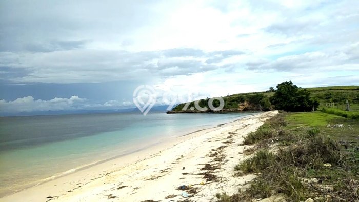 Tanah Kosong Dijual di Lombok Timur dengan Area 26000m2 Tanah Kosong Dijual di Lombok Timur dengan Area 26000m2