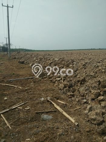 Tanah di Majalaya, Bandung Luas 1m2 Dijual Segera Tanah di Majalaya, Bandung Luas 1m2 Dijual Segera