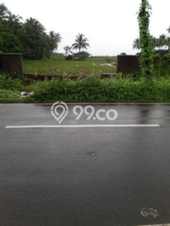Tanah Kavling Dijual di Panimbang Jaya, Pandeglang dengan Luas Tanah 15000m2 Tanah Kavling Dijual di Panimbang Jaya, Pandeglang dengan Luas Tanah 15000m2