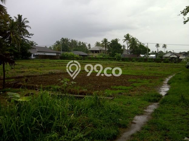 Tanah Kavling Dijual di Panimbang Jaya, Pandeglang dengan Luas Tanah 15000m2 Tanah Kavling Dijual di Panimbang Jaya, Pandeglang dengan Luas Tanah 15000m2