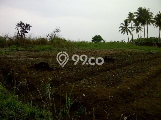 Tanah Kavling Dijual di Panimbang Jaya, Pandeglang dengan Luas Tanah 15000m2 Tanah Kavling Dijual di Panimbang Jaya, Pandeglang dengan Luas Tanah 15000m2