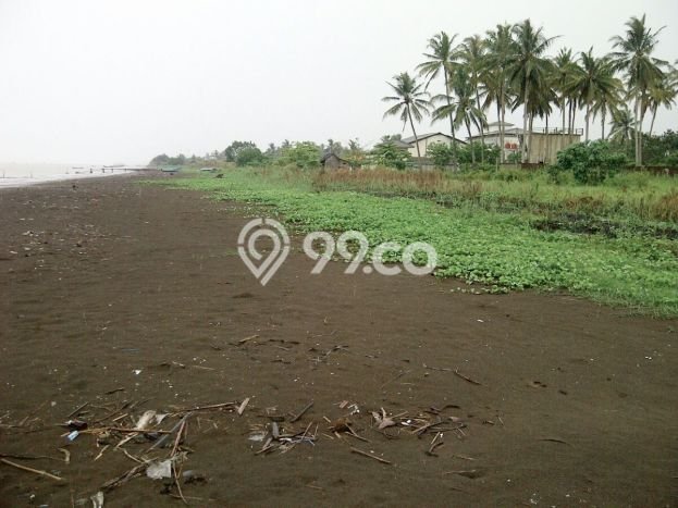 Tanah Kavling Dijual di Panimbang Jaya, Pandeglang dengan Luas Tanah 15000m2 Tanah Kavling Dijual di Panimbang Jaya, Pandeglang dengan Luas Tanah 15000m2