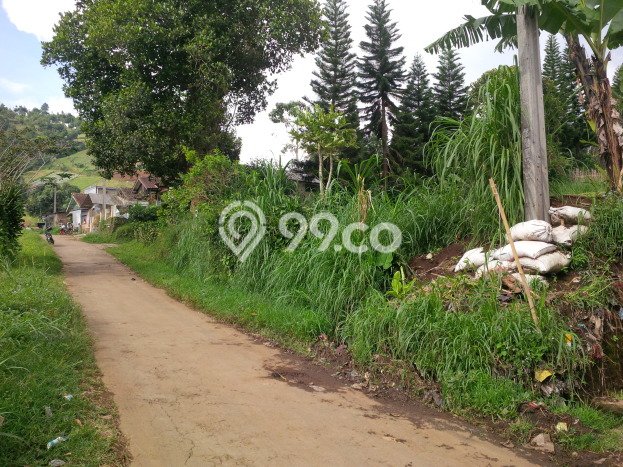 Tanah Dijual Area Strategis di Lembang Bandung 2085m2 Tanah Dijual Area Strategis di Lembang Bandung 2085m2