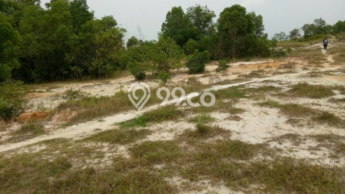Dijual Tanah Area Berkembang di Tenayan Raya, Luas 28900m², Akses Tenayan Raya, Pekanbaru, Pekanbaru Dijual Tanah Area Berkembang di Tenayan Raya, Luas 28900m², Akses Tenayan Raya, Pekanbaru, Pekanbaru