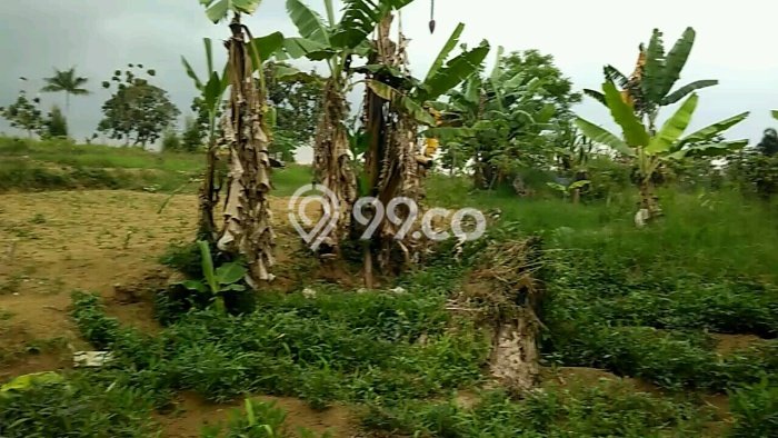 Tanah Kosong Dijual di Bogor dengan Area 9500m2 Tanah Kosong Dijual di Bogor dengan Area 9500m2