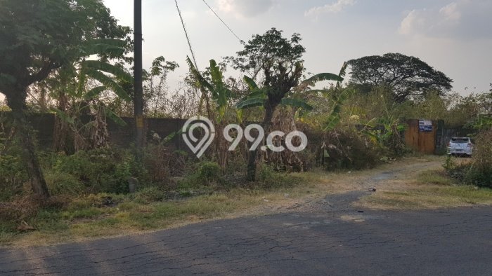 Lahan Kosong Dijual di Solo dengan Area 5305m2 Lahan Kosong Dijual di Solo dengan Area 5305m2
