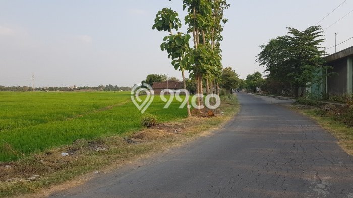 Lahan Kosong Dijual di Solo dengan Area 5305m2 Lahan Kosong Dijual di Solo dengan Area 5305m2
