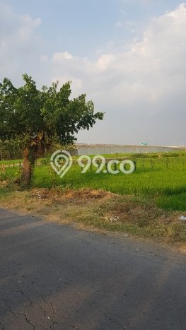 Lahan Kosong Dijual di Solo dengan Area 5305m2 Lahan Kosong Dijual di Solo dengan Area 5305m2