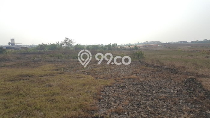 Tanah Dijual Lokasi Ciruas Serang SHM Tanah Dijual Lokasi Ciruas Serang SHM