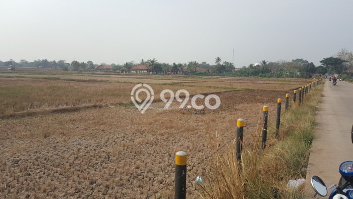 Tanah Dijual Lokasi Ciruas Serang SHM Tanah Dijual Lokasi Ciruas Serang SHM