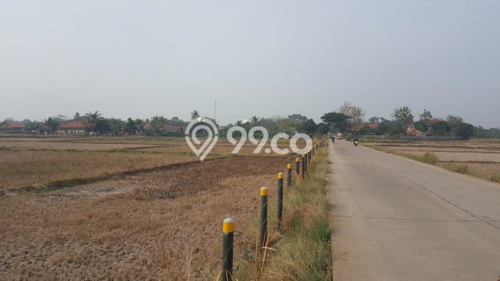 Tanah Dijual Lokasi Ciruas Serang SHM Tanah Dijual Lokasi Ciruas Serang SHM