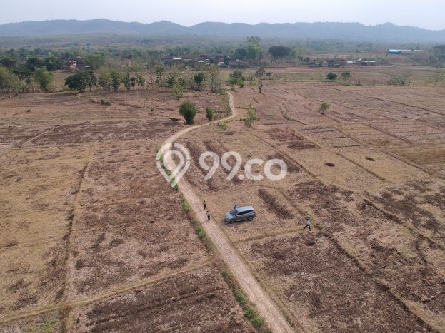 Lahan Dijual Lokasi Tikung, Lamongan dengan Luas Tanah 70000m2 dan Status SHM Lahan Dijual Lokasi Tikung, Lamongan dengan Luas Tanah 70000m2 dan Status SHM