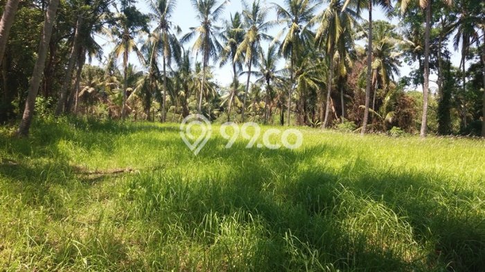 Tanah Investasi Dijual di Gianyar Punya Luas 10000m2 Tanah Investasi Dijual di Gianyar Punya Luas 10000m2