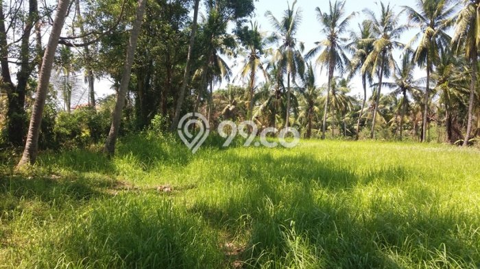 Tanah Investasi Dijual di Gianyar Punya Luas 10000m2 Tanah Investasi Dijual di Gianyar Punya Luas 10000m2