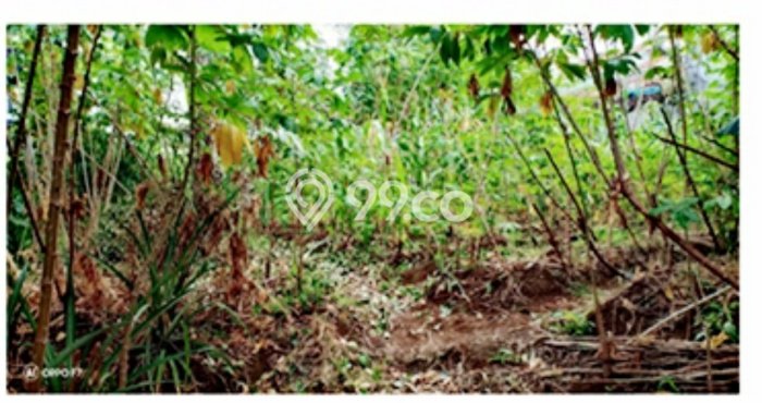 Dijual Tanah Kawasan Cigadung, Luas 440m², Akses Strategis Dijual Tanah Kawasan Cigadung, Luas 440m², Akses Strategis