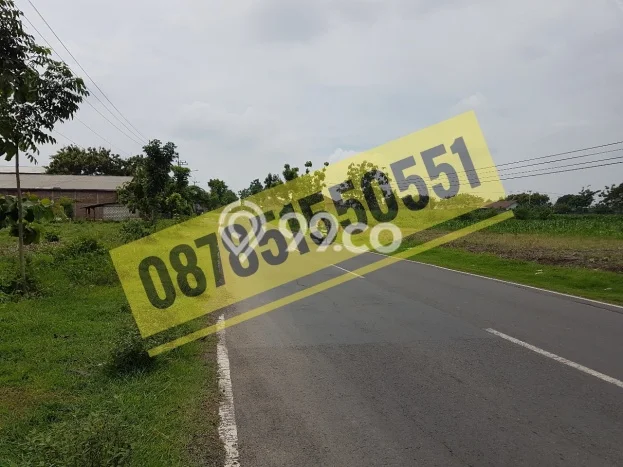 Kavling Tanah Dijual di Mantup, Lamongan, Luas 8900m2 Area Strategis Kavling Tanah Dijual di Mantup, Lamongan, Luas 8900m2 Area Strategis