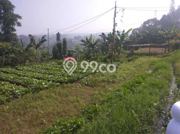 For Sale Tanah di , Luas 1195m2m², Akses Bandung, Bandung For Sale Tanah di , Luas 1195m2m², Akses Bandung, Bandung