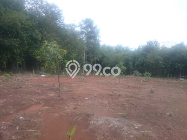 Tanah Kavling Dijual di Tangerang dengan Spesifikasi 100000m2 Tanah Kavling Dijual di Tangerang dengan Spesifikasi 100000m2