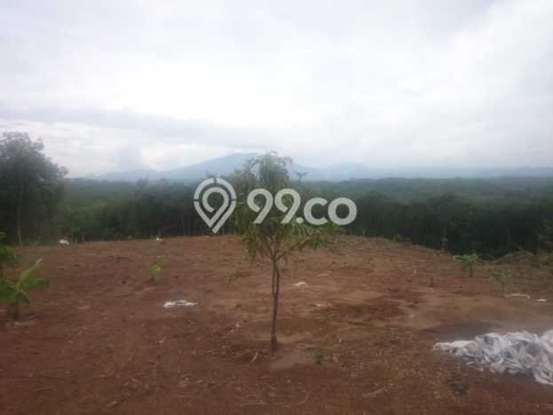 Tanah Kavling Dijual di Tangerang dengan Spesifikasi 100000m2 Tanah Kavling Dijual di Tangerang dengan Spesifikasi 100000m2