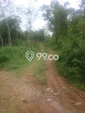 Tanah Kavling Dijual di Tangerang dengan Spesifikasi 100000m2 Tanah Kavling Dijual di Tangerang dengan Spesifikasi 100000m2