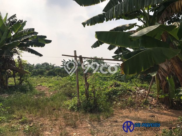 Tanah Industri Pabrik Gudang Jati Uwung Kota Tangerang Tanah Industri Pabrik Gudang Jati Uwung Kota Tangerang