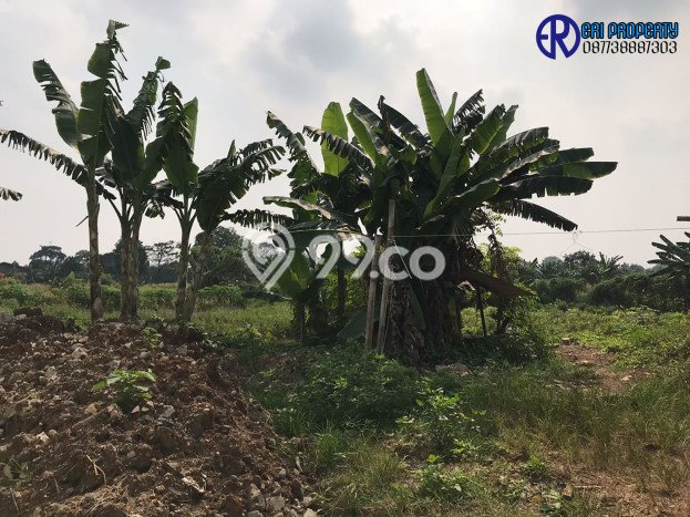 Tanah Industri Pabrik Gudang Jati Uwung Kota Tangerang Tanah Industri Pabrik Gudang Jati Uwung Kota Tangerang