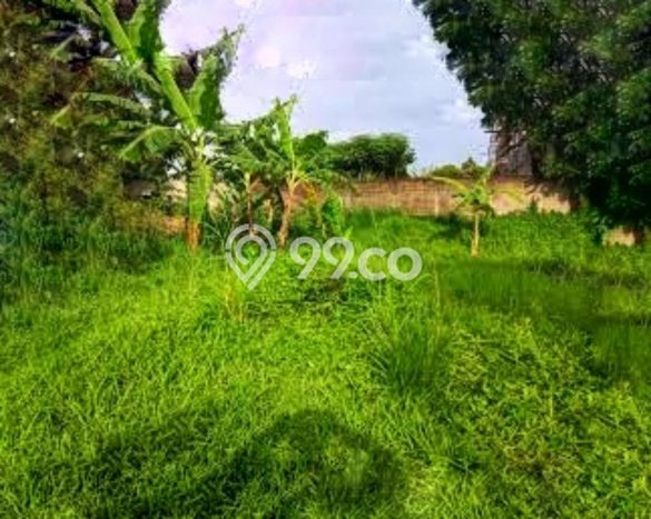 Untuk Dijual Tanah 3690m2 di Warung Buncit, Jakarta Selatan Untuk Dijual Tanah 3690m2 di Warung Buncit, Jakarta Selatan