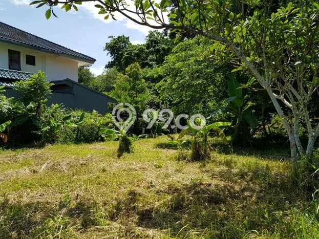 Kavling Tanah untuk Dijual di Baranangsiang, Bogor, Luas 291m2 Kavling Tanah untuk Dijual di Baranangsiang, Bogor, Luas 291m2