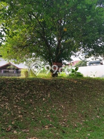 Kavling Tanah untuk Dijual di Baranangsiang, Bogor, Luas 291m2 Kavling Tanah untuk Dijual di Baranangsiang, Bogor, Luas 291m2