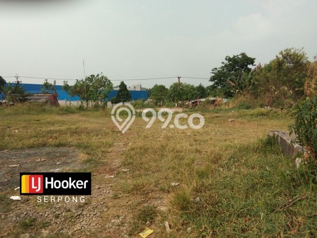 Tanah Dijual Lokasi Gunung Sindur, Bogor Luas 5000m2 Legalitas Aman Tanah Dijual Lokasi Gunung Sindur, Bogor Luas 5000m2 Legalitas Aman