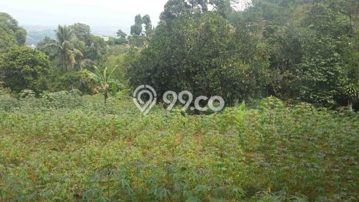Untuk Dijual Tanah di Bogor, Luas 6143m2 SHM Untuk Dijual Tanah di Bogor, Luas 6143m2 SHM