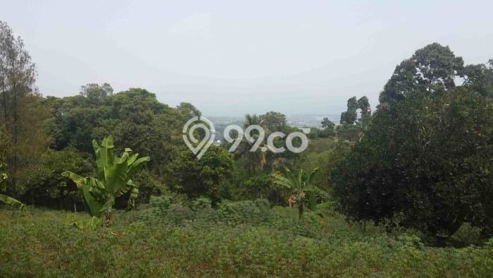 Untuk Dijual Tanah di Bogor, Luas 6143m2 SHM Untuk Dijual Tanah di Bogor, Luas 6143m2 SHM