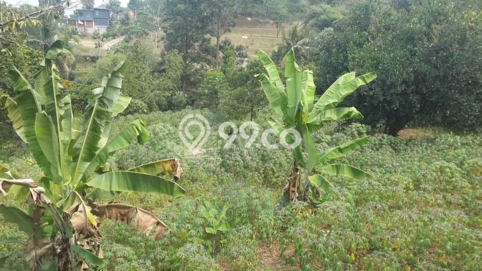 Untuk Dijual Tanah di Bogor, Luas 6143m2 SHM Untuk Dijual Tanah di Bogor, Luas 6143m2 SHM