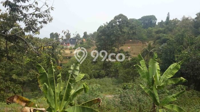 Untuk Dijual Tanah di Bogor, Luas 6143m2 SHM Untuk Dijual Tanah di Bogor, Luas 6143m2 SHM
