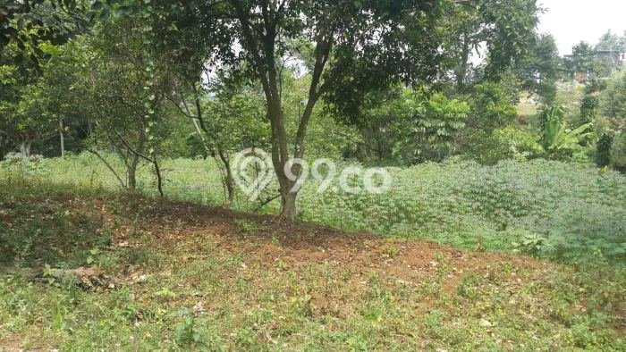 Untuk Dijual Tanah di Bogor, Luas 6143m2 SHM Untuk Dijual Tanah di Bogor, Luas 6143m2 SHM