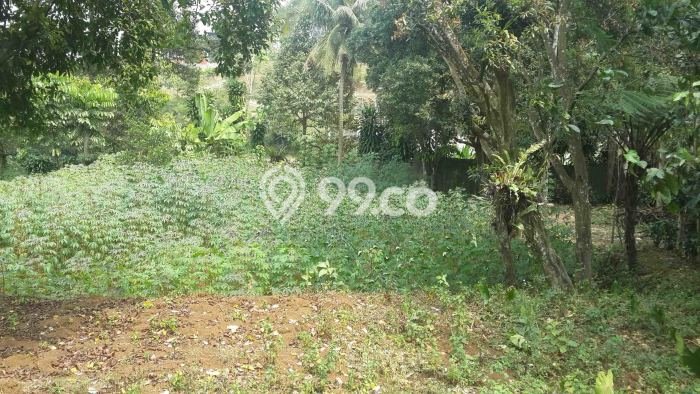 Untuk Dijual Tanah di Bogor, Luas 6143m2 SHM Untuk Dijual Tanah di Bogor, Luas 6143m2 SHM