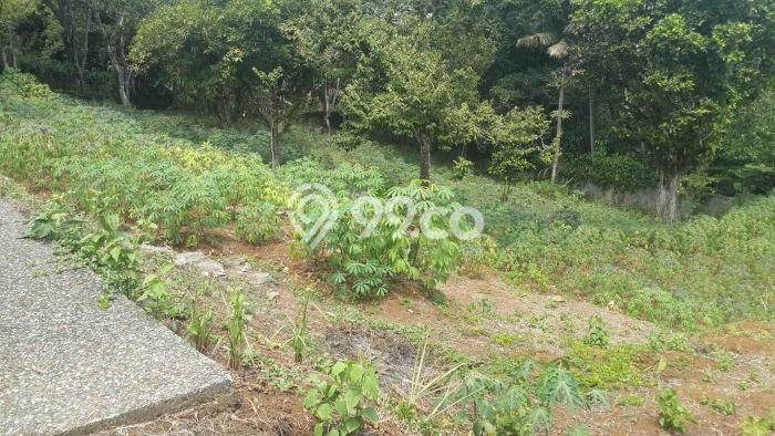 Untuk Dijual Tanah di Bogor, Luas 6143m2 SHM Untuk Dijual Tanah di Bogor, Luas 6143m2 SHM