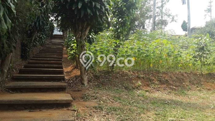 Untuk Dijual Tanah di Bogor, Luas 6143m2 SHM Untuk Dijual Tanah di Bogor, Luas 6143m2 SHM