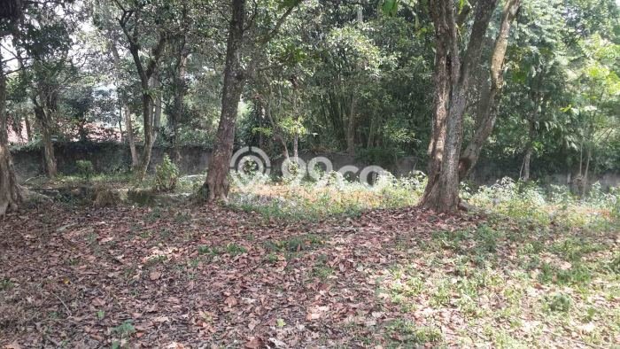Untuk Dijual Tanah di Bogor, Luas 6143m2 SHM Untuk Dijual Tanah di Bogor, Luas 6143m2 SHM