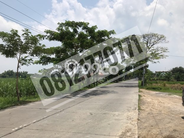 Tanah Kavling untuk Dijual di Jetis Mojokerto 120000m2 Tanah Kavling untuk Dijual di Jetis Mojokerto 120000m2