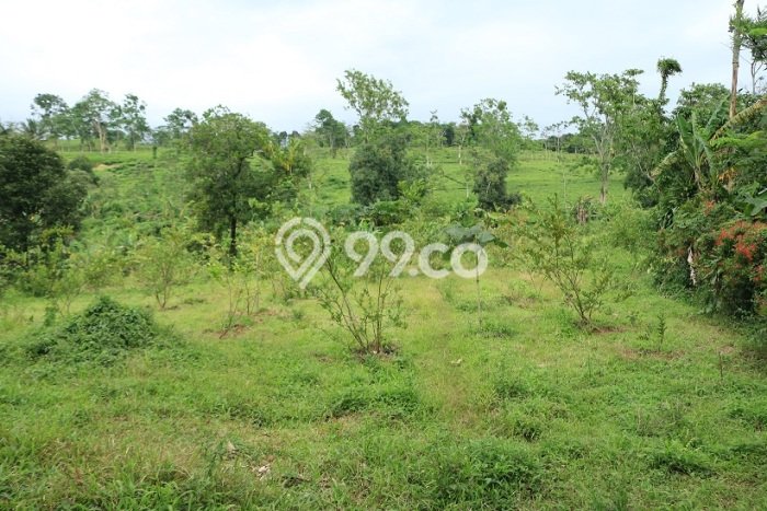 Tanah Dijual Area Strategis di Klapanunggal Bogor 10000m2 Tanah Dijual Area Strategis di Klapanunggal Bogor 10000m2