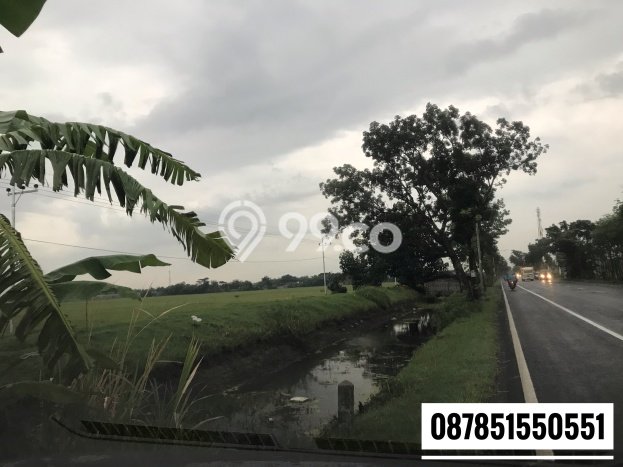 Tanah di Baron, Nganjuk Luas 250000m2 Dijual Segera Tanah di Baron, Nganjuk Luas 250000m2 Dijual Segera