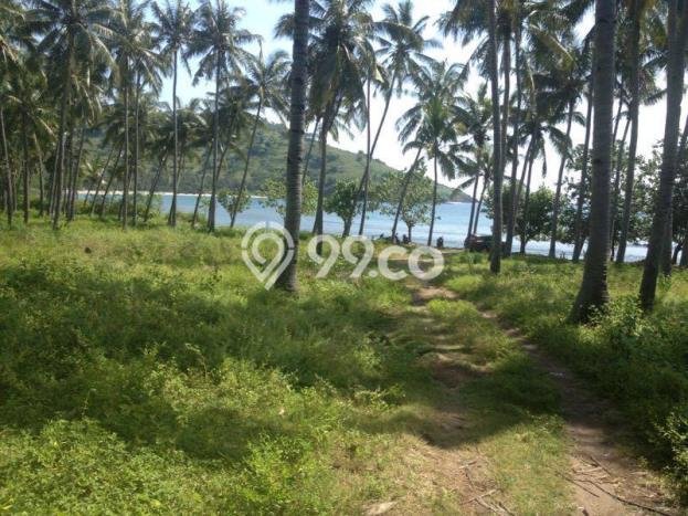Untuk Dijual Tanah di Lombok Utara, Luas 10000m2 Lain-lain Untuk Dijual Tanah di Lombok Utara, Luas 10000m2 Lain-lain