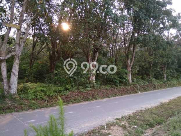 Tanah Lokasi Prima Kawasan Payung Sekaki, Luas 20000m², Lingkungan Nyaman, Akses Payung Sekaki, Pekanbaru, Pekanbaru Tanah Lokasi Prima Kawasan Payung Sekaki, Luas 20000m², Lingkungan Nyaman, Akses Payung Sekaki, Pekanbaru, Pekanbaru