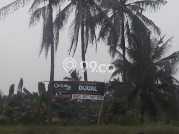 Tanah Dijual di Cilegon Seluas 1508m2 Strategis Tanah Dijual di Cilegon Seluas 1508m2 Strategis