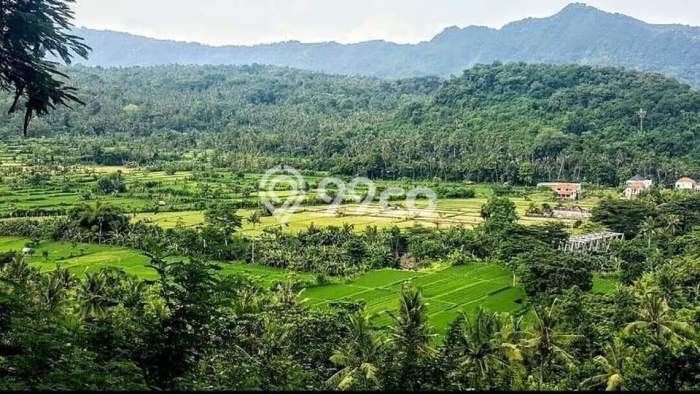 Kavling Tanah Dijual di Manggis Karangasem Spesifikasi 450000m2 Kavling Tanah Dijual di Manggis Karangasem Spesifikasi 450000m2