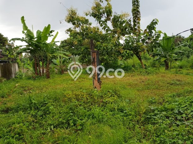 Dijual Tanah Lokasi Taman Kencana, Bogor Seluas 520m2 Dijual Tanah Lokasi Taman Kencana, Bogor Seluas 520m2