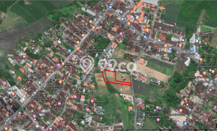 Tanah Kavling Disewakan di Canggu dengan Luas 2000m2 Tanah Kavling Disewakan di Canggu dengan Luas 2000m2